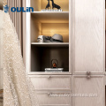 Modern Luxury wood sliding doors cloakroom